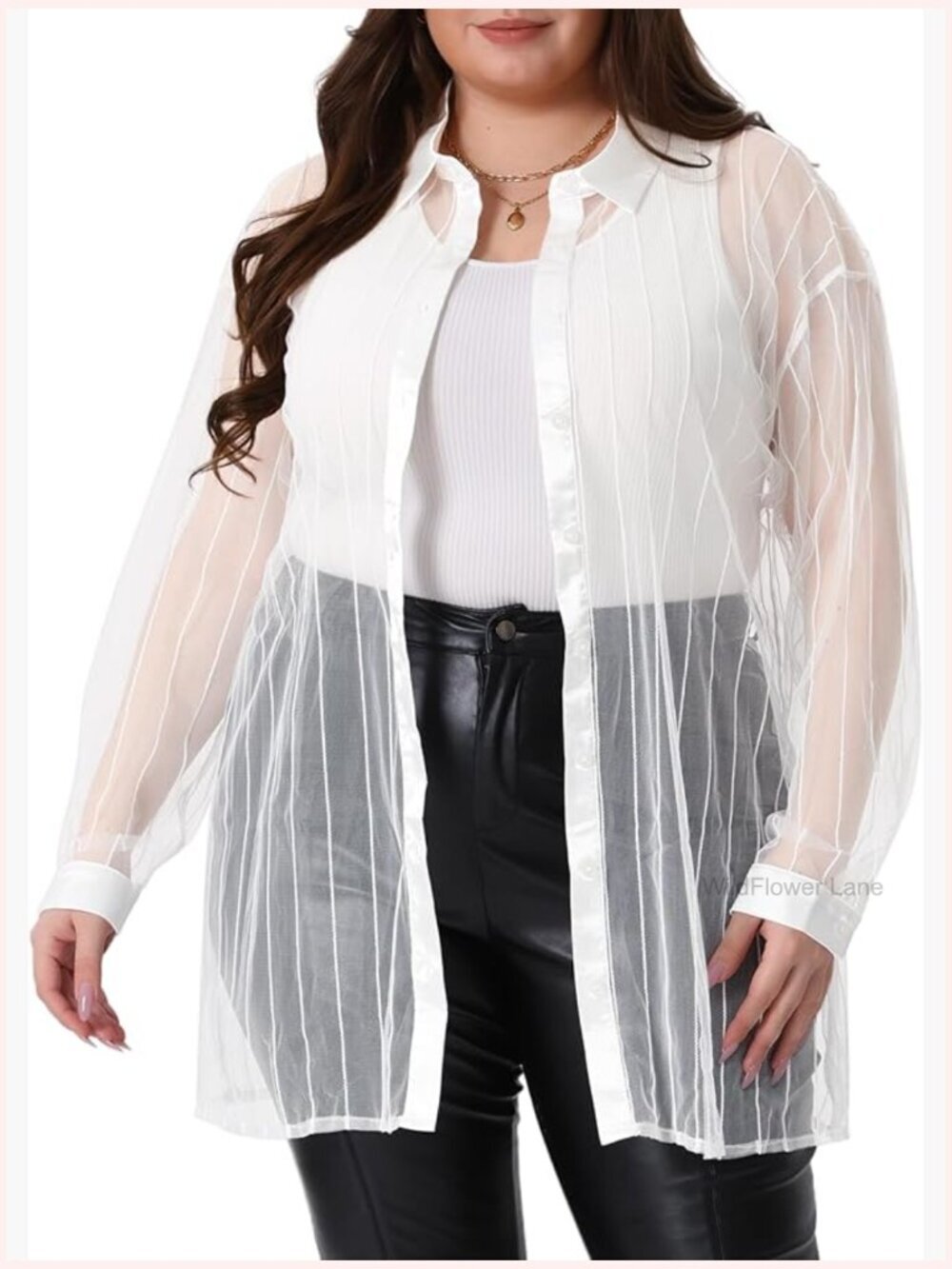 Mesh Sheer Long Sleeve Button Down Blouse Plus Size